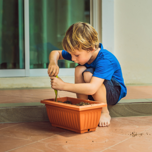 Little Gardeners Box